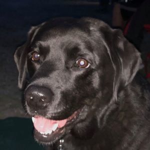 Meet your Posher, Greg